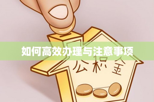 贵池如何高效办理与注意事项