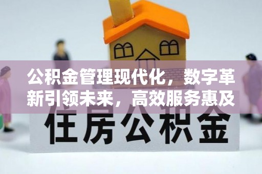贵池公积金管理现代化，数字革新引领未来，高效服务惠及民生