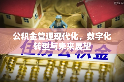 贵池公积金管理现代化，数字化转型与未来展望