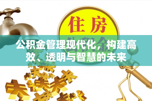 贵池公积金管理现代化，构建高效、透明与智慧的未来