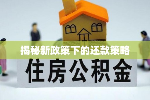 贵池揭秘新政策下的还款策略