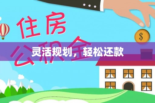 贵池灵活规划，轻松还款