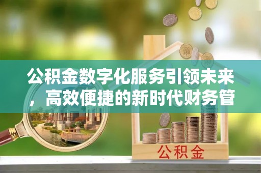 贵池公积金数字化服务引领未来，高效便捷的新时代财务管理