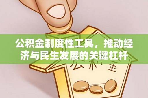 贵池公积金制度性工具，推动经济与民生发展的关键杠杆