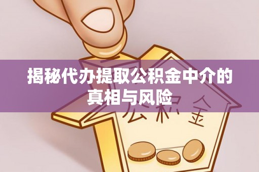 贵池揭秘代办提取公积金中介的真相与风险