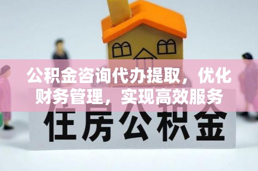 贵池公积金咨询代办提取，优化财务管理，实现高效服务
