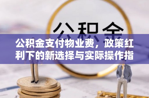 贵池公积金支付物业费，政策红利下的新选择与实际操作指南