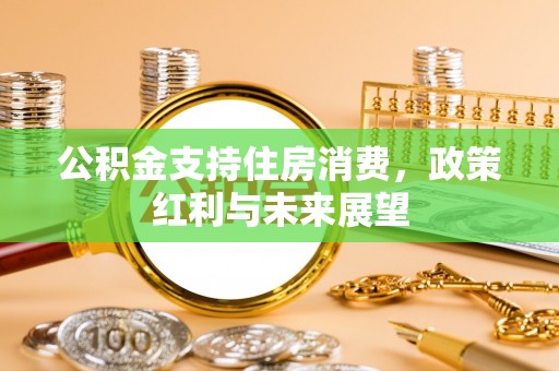 贵池公积金支持住房消费，政策红利与未来展望