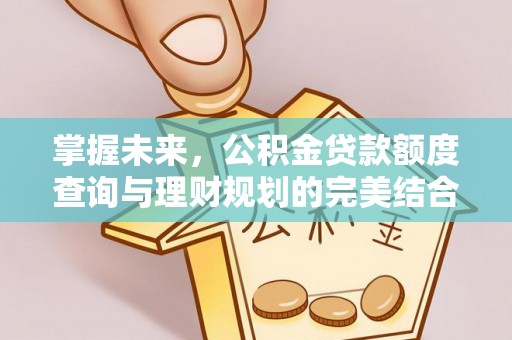 贵池掌握未来，公积金贷款额度查询与理财规划的完美结合