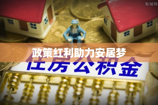 贵池政策红利助力安居梦