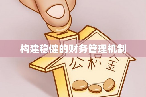 贵池构建稳健的财务管理机制