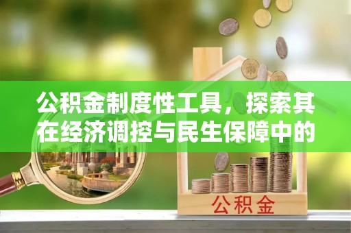 贵池公积金制度性工具，探索其在经济调控与民生保障中的重要作用