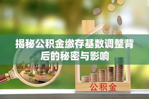 贵池揭秘公积金缴存基数调整背后的秘密与影响