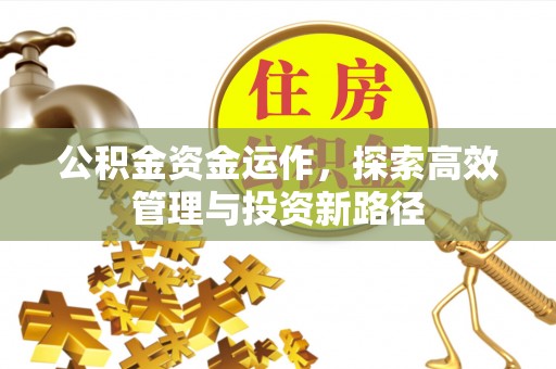 贵池公积金资金运作，探索高效管理与投资新路径
