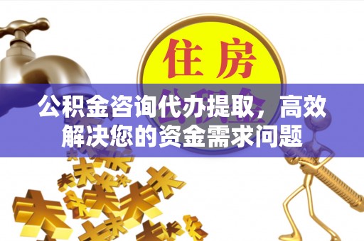 贵池公积金咨询代办提取，高效解决您的资金需求问题
