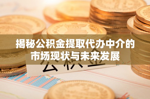 贵池揭秘公积金提取代办中介的市场现状与未来发展