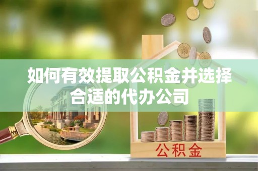 贵池如何有效提取公积金并选择合适的代办公司