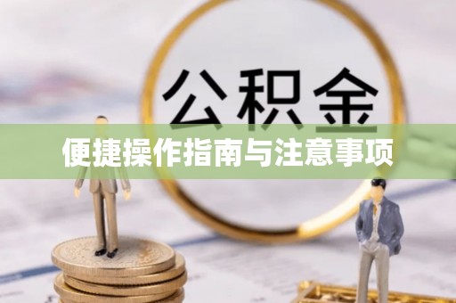 贵池便捷操作指南与注意事项